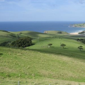 Coast at Wollongong