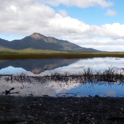 Photograph looking across a sparsely vegetated waterbody towards hills covered in Eucalypt woodlands.