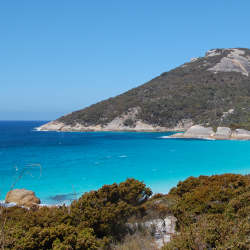 Photograph of turquise waters lapping heath covered low rocky hills.