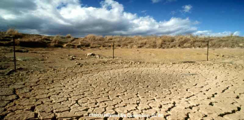 Image: a dry watering point during drought. CSIRO/Wikimedia Commons, CC BY