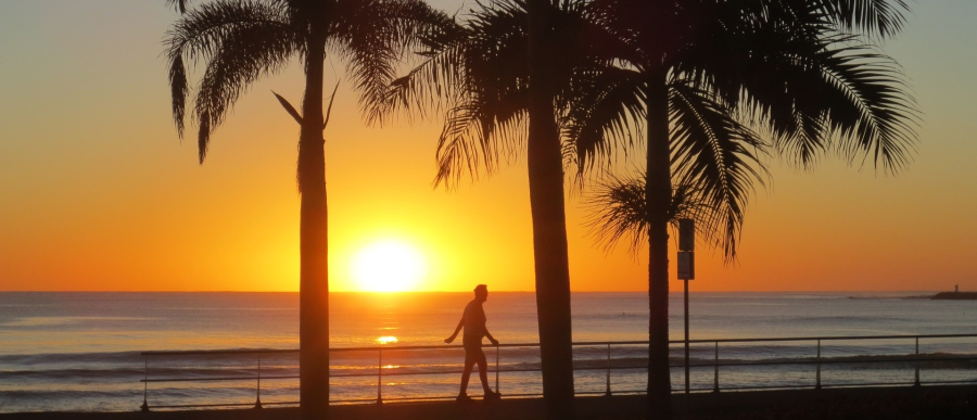 Photograph of sunrise, looking past palm trees and a man walking.